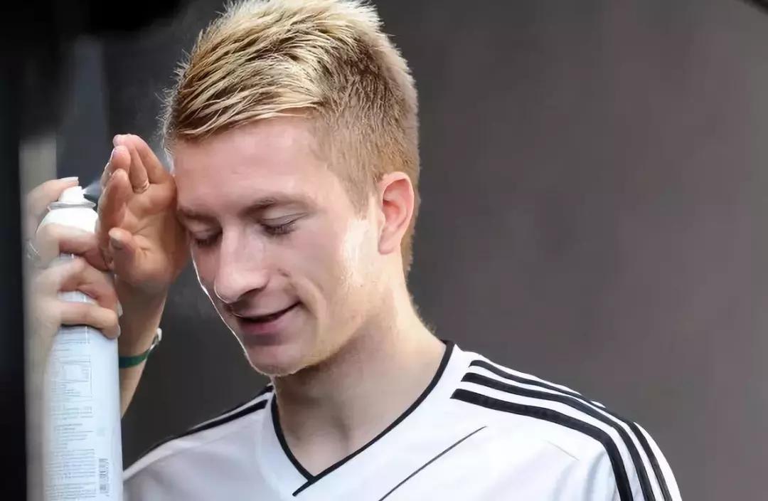 世界杯肉肉的仙人球,世界杯金肉肉