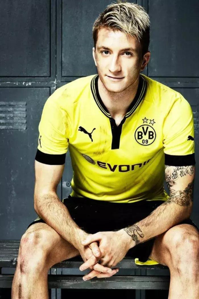 世界杯肉肉的仙人球,世界杯金肉肉