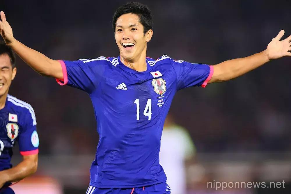 世界杯肉肉的仙人球,世界杯胖嘟嘟