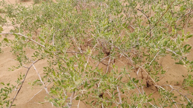 terra150adv全新车,terra150adv老款