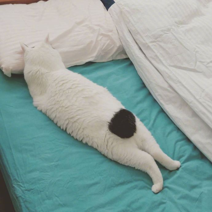 男生邀请奶奶走毕业红毯：她从小照顾我，最辛苦功劳最大