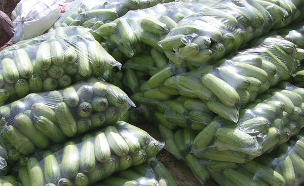 这4种植物真喜水,5种特别耐涝的植物