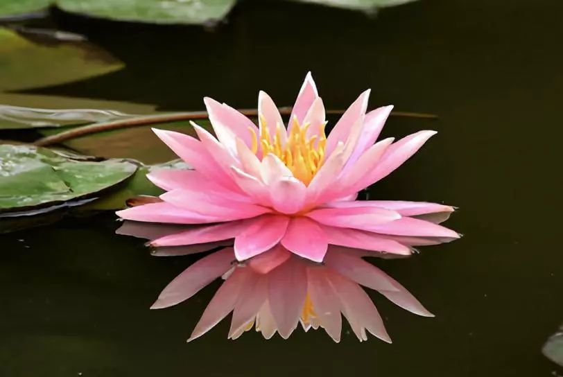 带上你的SuperHero，一起留下最温暖的回忆！