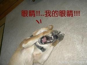 戴墨镜开车真的很帅,入院前的我也这么想的!