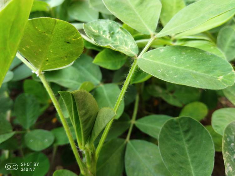 带拍照功能的游戏,手机除游戏拍照还有什么刚需性能