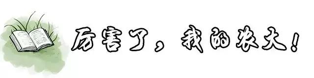 云南最好的大学是哪个大学,云南最好农校