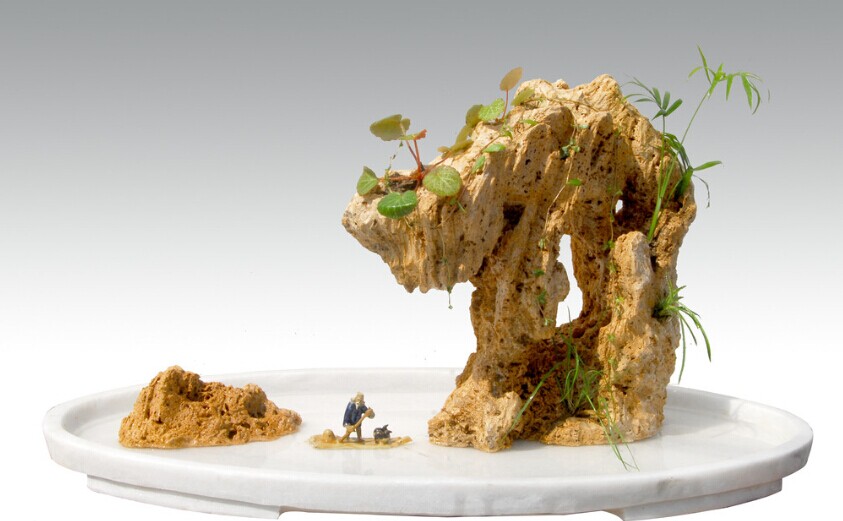 上水石盆景用什么水好,适合种盆景里的点缀