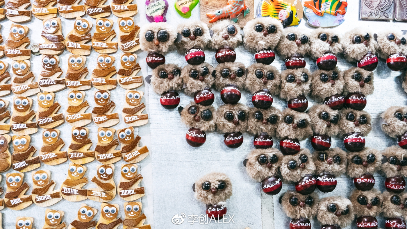 飞宿务直航城市,宿务到内地的直航航班