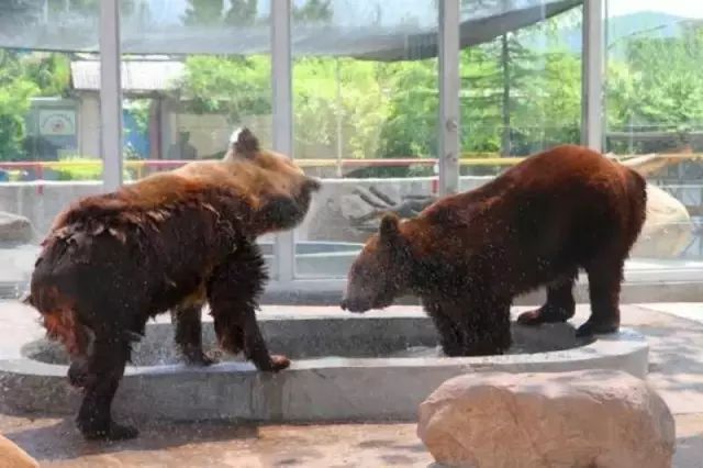 金宝游乐园最新消息,金宝乐园营业时间