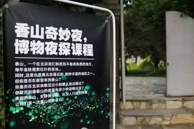 星空露营夜景,北京适合露营看星空的地方