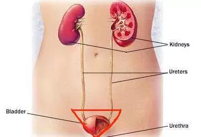 人体九大“黄金三角区”，一定要保护好了！