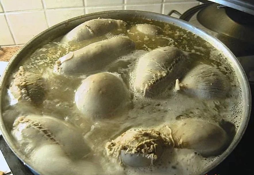 吃变臭鲨鱼肉，喝土豆香菜酿的酒，冰岛人的美食真让人出乎意料！