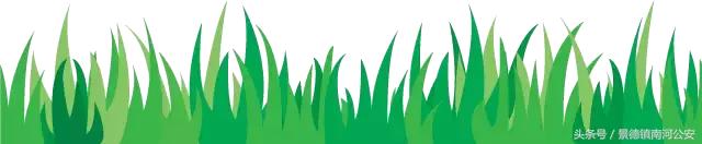 8组*子骗**争雄“骗界杯”,蜀黍预言最后的赢家是……