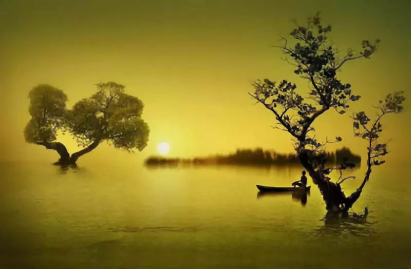 世界杯冰岛延续奇迹,世界杯冰岛奇迹