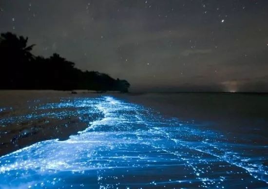 深圳8个看最美日落的地方,深圳晚上去哪里玩夜景最好