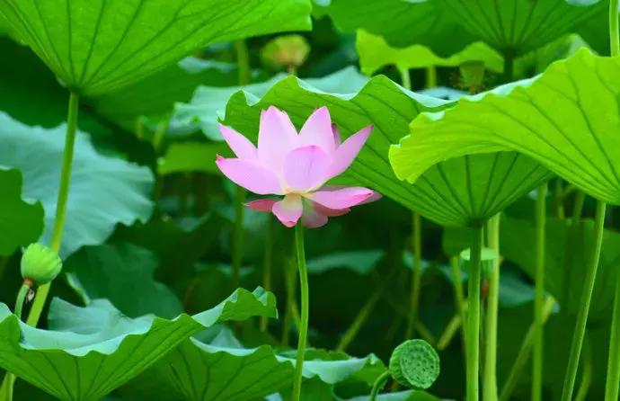 山东最美慢火车,山东景观火车