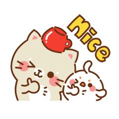 泉州一级达标中学名单,2023年泉州一级达标高中名单