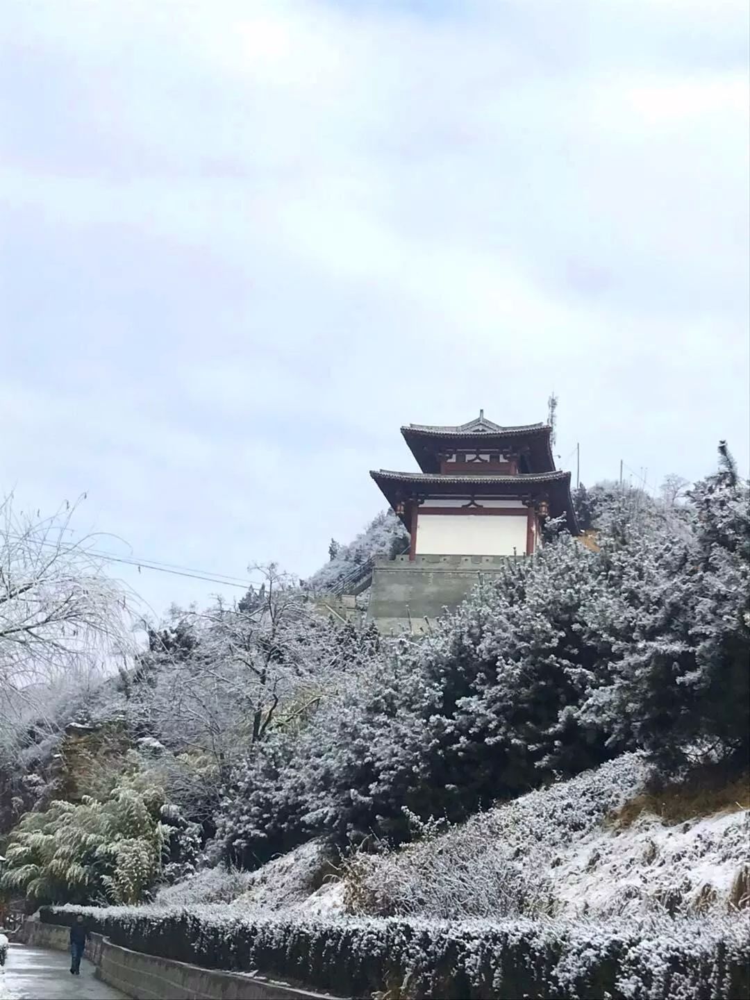 十八年后回归家庭,十八年后回家完整版