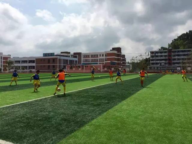 国足无缘各届世界杯,国足无缘世界杯名单