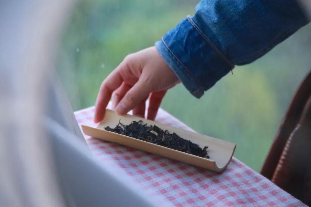 凤凰单丛茶水仙,凤凰单枞与凤凰单丛是两种茶吗