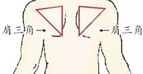 人体九大系统对应的器官,人体黄金三角区是什么