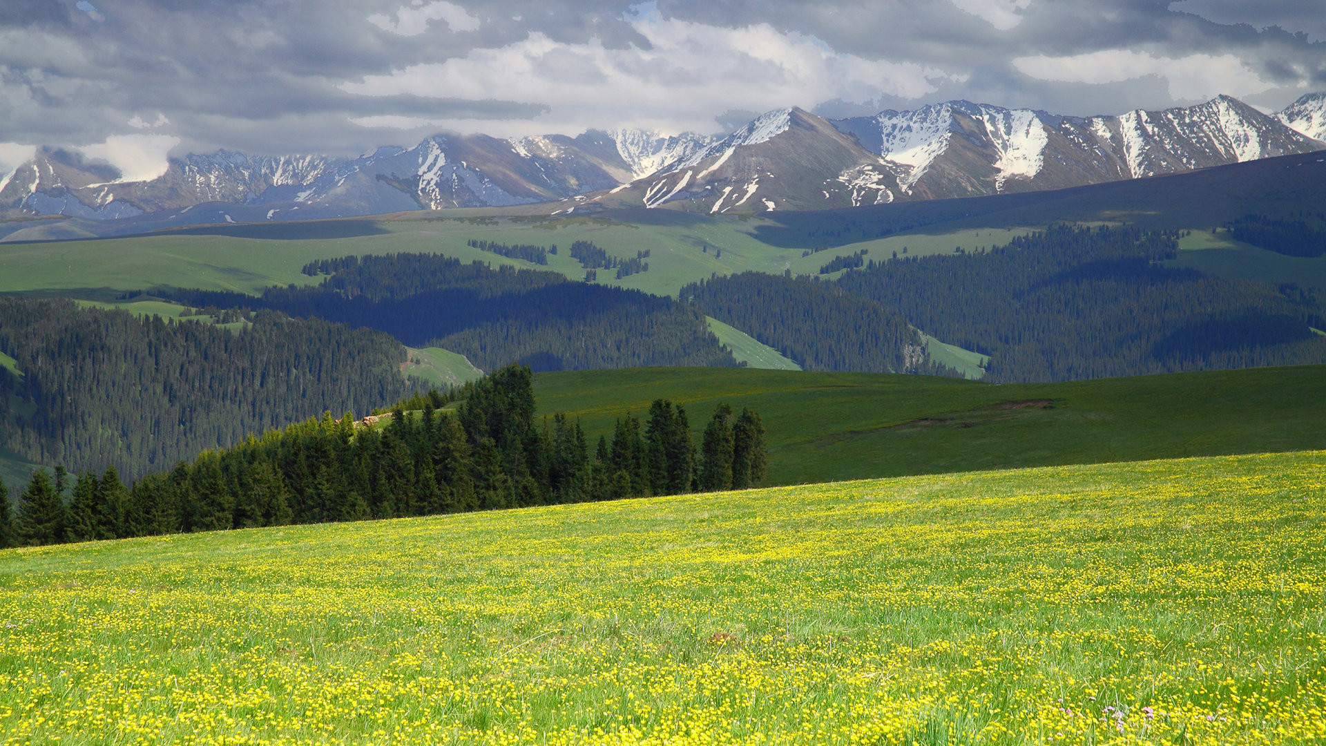 小溪不停地向前流着,小溪不停地向前流淌