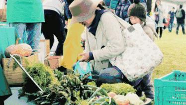 一个辍学生在大理租下23个足球场大的地方，种菜、养牛、建农场