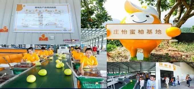 总有一款适合你春耕备耕进行中,现代农业案例分享