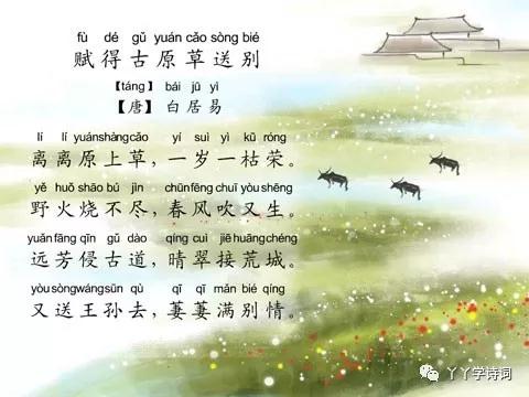 赋得古原草送别白居易视频,赋得古原草送别白居易解释