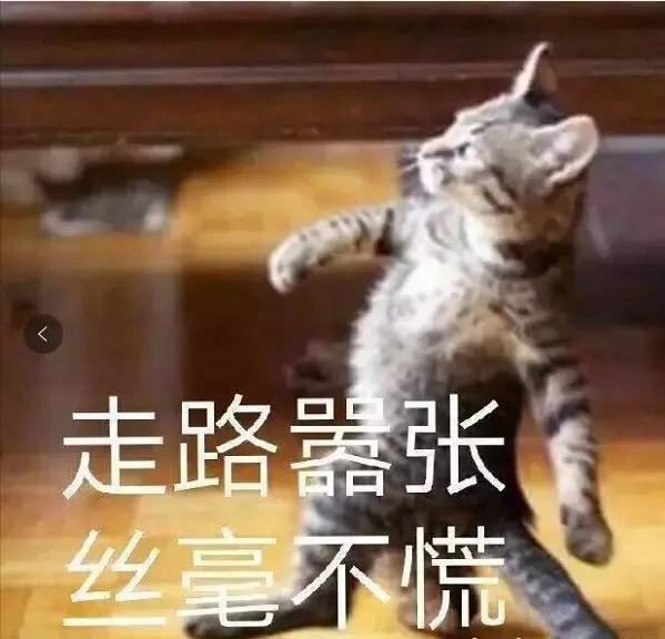 国内快时尚女装品牌有哪些呢,中国十大最受欢迎女装品牌