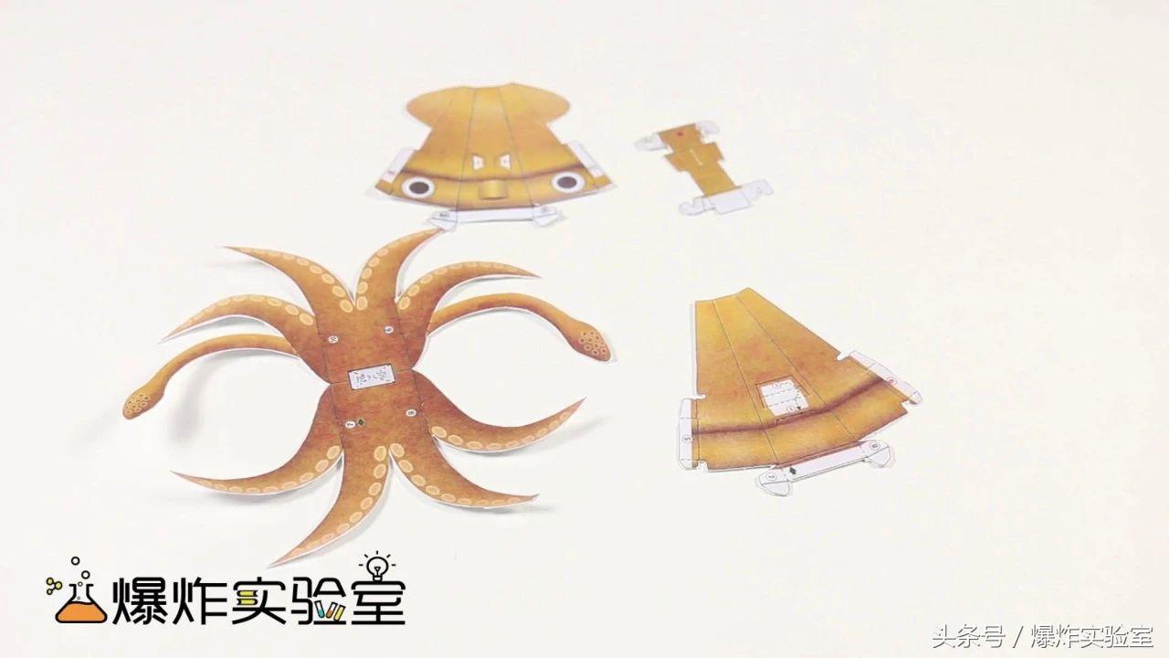 看了就能学会的手工折纸,翻转小章鱼折纸