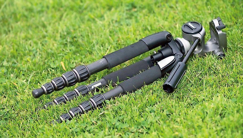 探访岭南花卉市场,花卉王国荷兰郁金香田