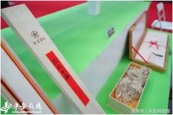 从垃圾里捡的东西变废为宝,从废物到宝物