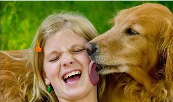 如何解决狗狗口臭问题,有什么消除狗狗口臭的方法吗