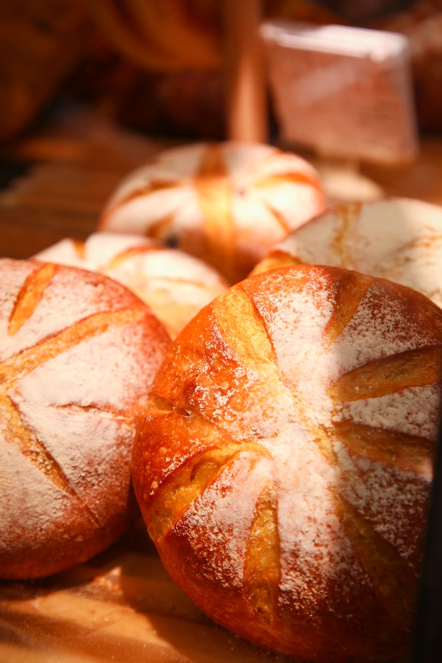 长沙4天三晚吃喝玩乐视频讲解,长沙逛吃72小时