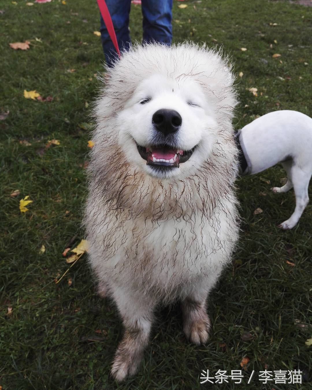 明明可以靠颜值吃饭却偏偏靠力气,明明可以靠颜值吃饭偏偏靠嘴巴