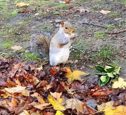 去英国最便宜的方法,初到南京怎么赚钱