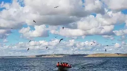 南昌到内蒙古旅游要多少钱 (江西坐火车去内蒙古沿途攻略)