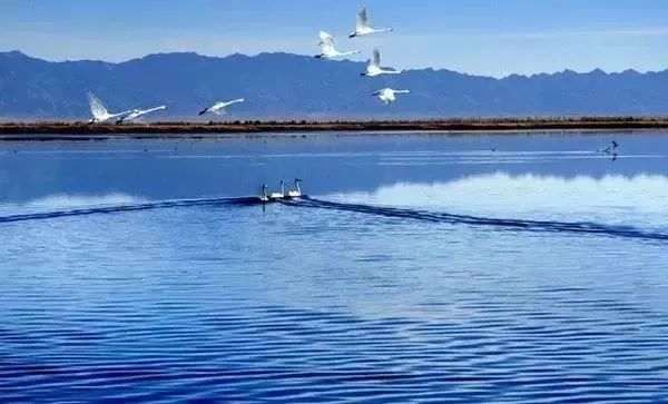 南昌到内蒙古旅游要多少钱 (江西坐火车去内蒙古沿途攻略)