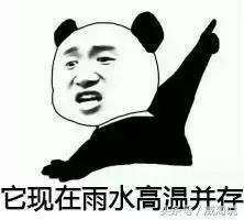 济南35度以上高温持续30天,济南37度高温天气