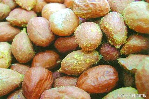 科普时报官网,科普有害生物防治知识