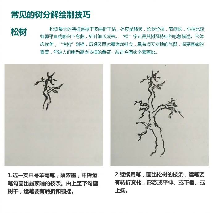 零基础学国画树干的画法视频,零基础画树教程