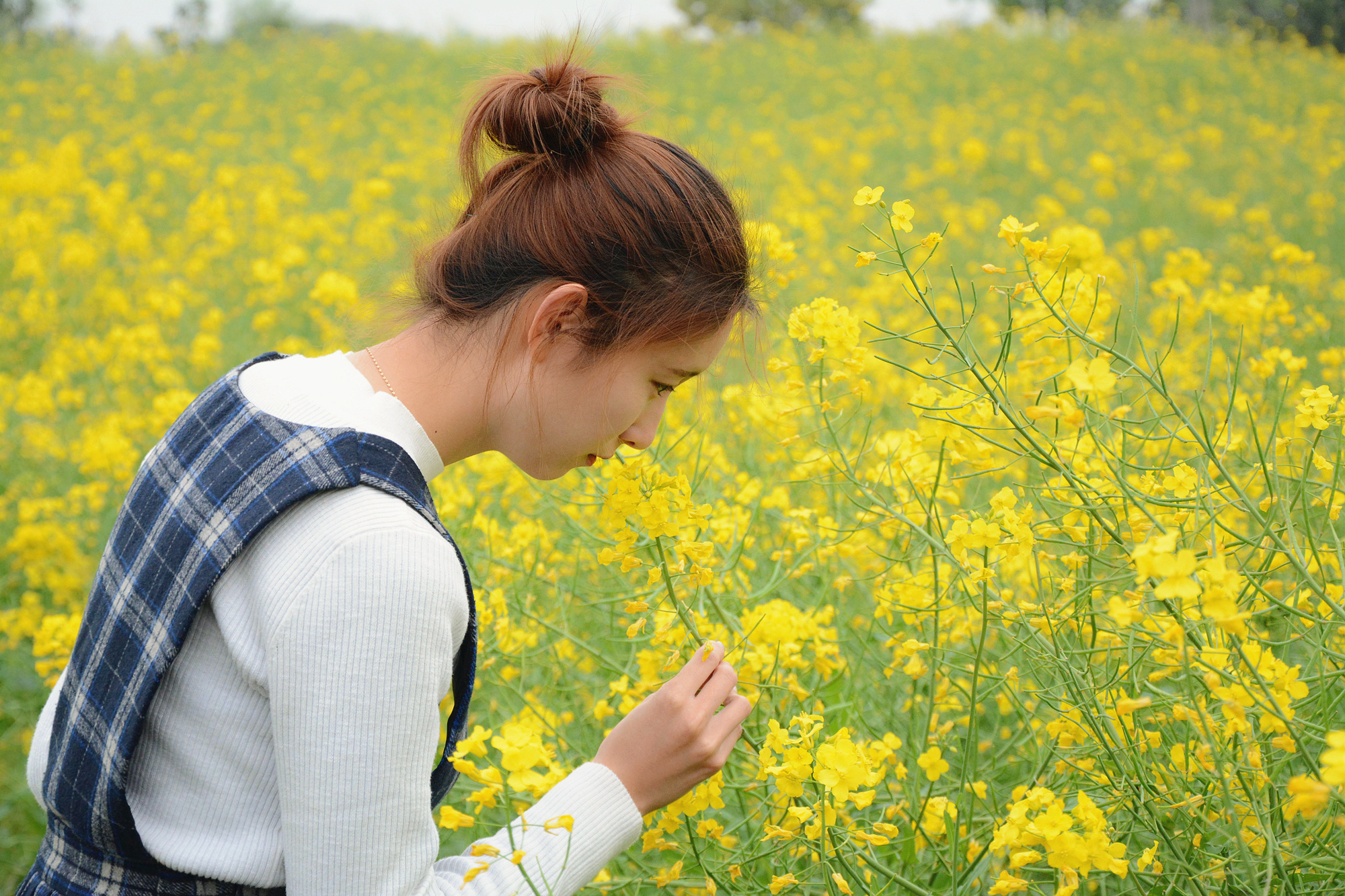 苏州哪些景点可以看小桥流水,只有老苏州人才知道的小众景点