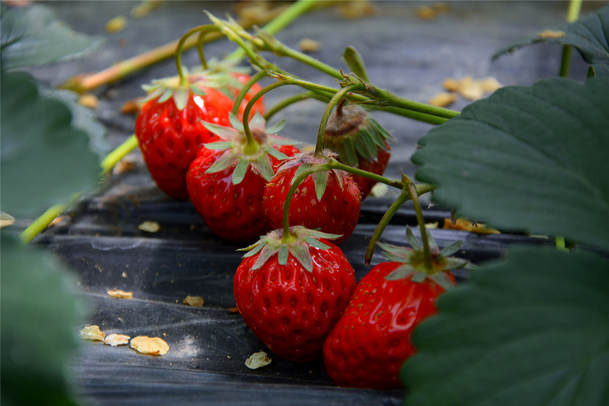 苏州哪些景点可以看小桥流水,只有老苏州人才知道的小众景点