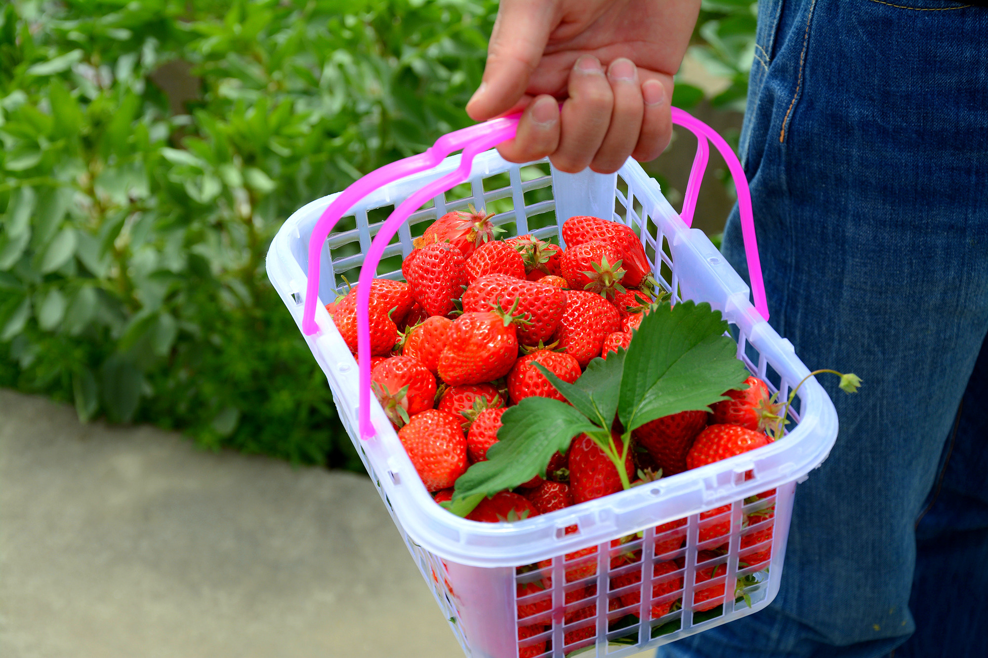 苏州的小桥流水在哪里,苏州比较不错的景点