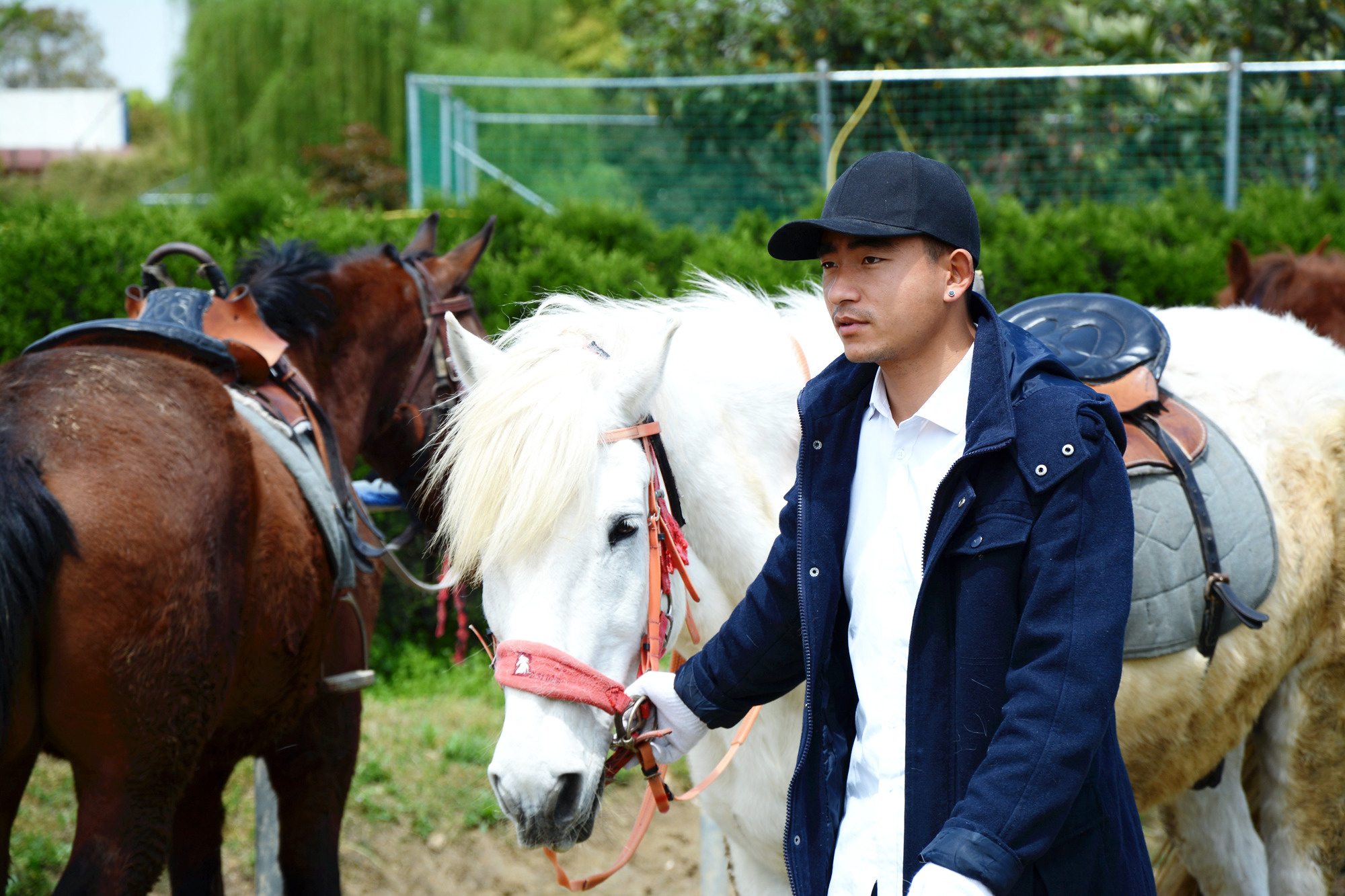 苏州哪里小桥流水人家,苏州少数人知道的好玩地方