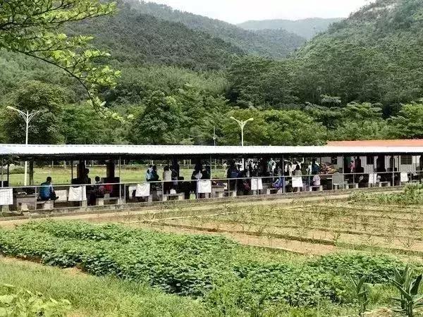 博罗这些清凉的漂流胜地！让你秒切“空调模式”~约起！