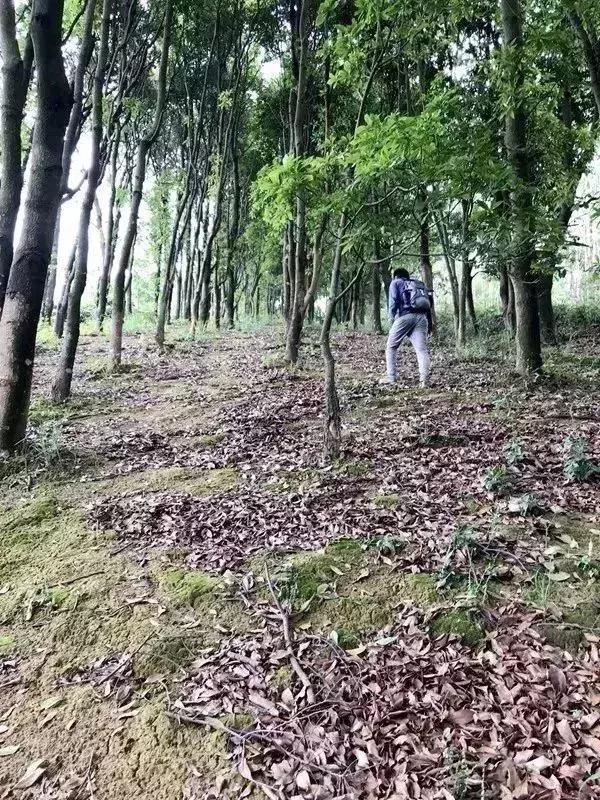 博罗天然瀑布玩水漂流的地方,博罗漂流攻略