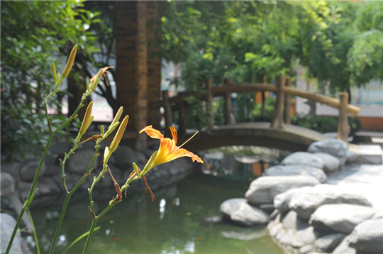 开封东南学区建设,开封市化建中学简介