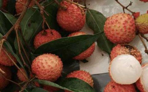 荔枝滞销果农丰收,荔枝滞销事件